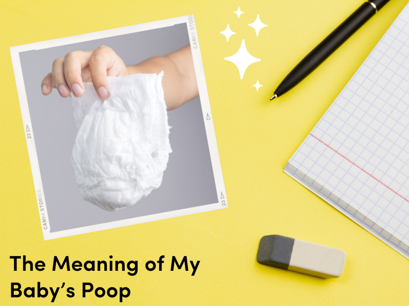 The Meaning of My Baby’s Poop La Petite Creme
