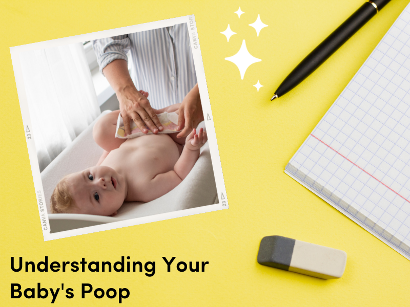 Understanding Your Baby's Poop – La Petite Creme